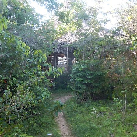 Wasini Island Bandas Екстер'єр фото