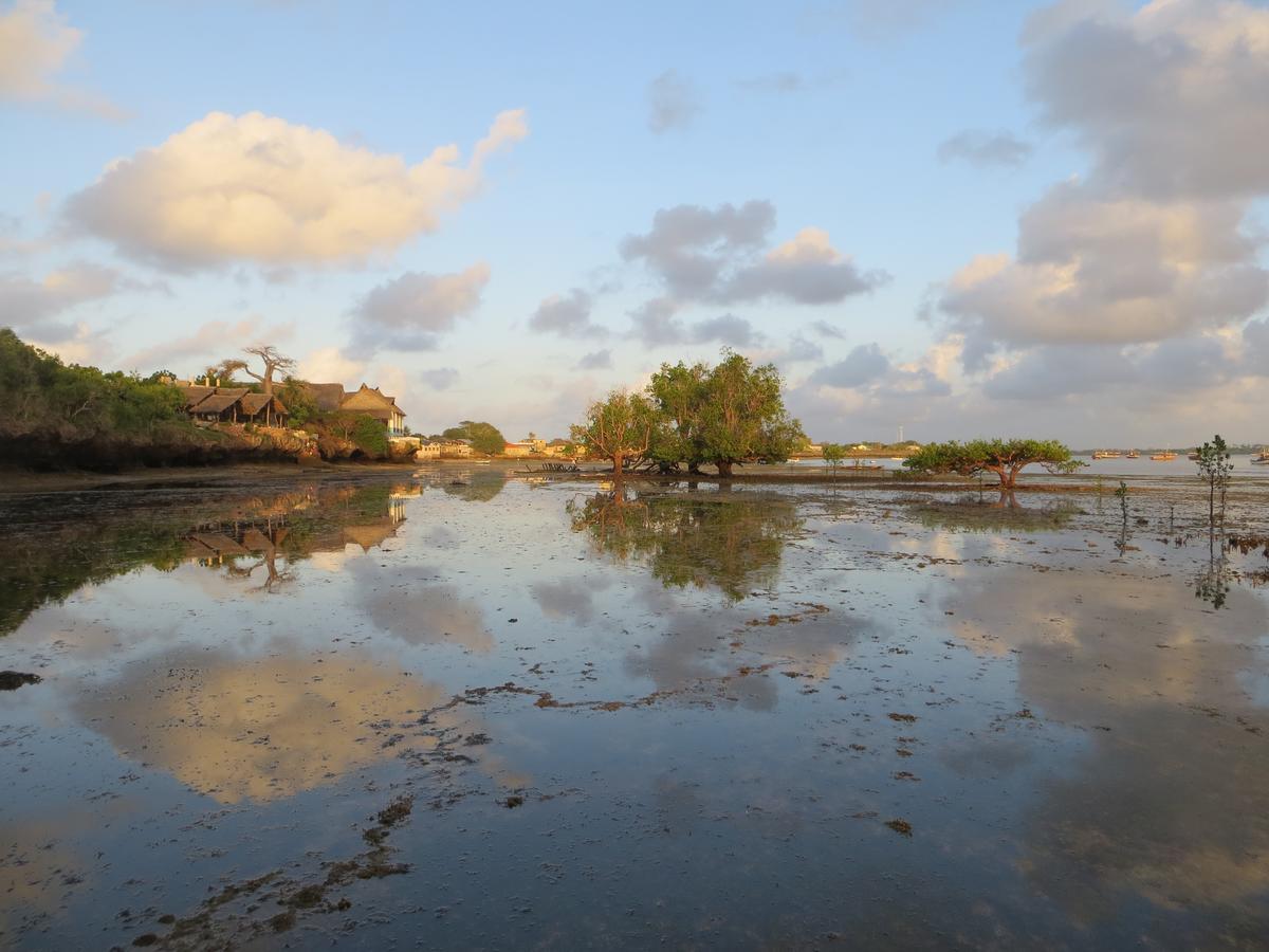 Wasini Island Bandas Екстер'єр фото